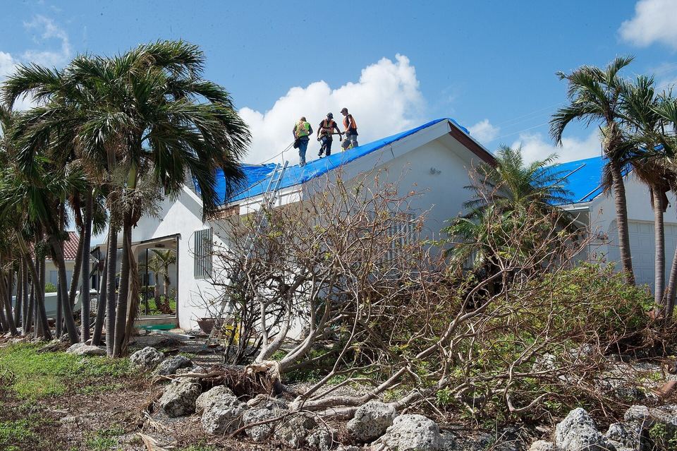 Workers on a tarped roof after a hurricane, with palms and broken shrubs below